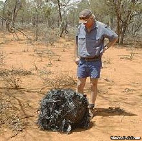 Autraliano admira lixo que caiu do céu (Foto: internet)