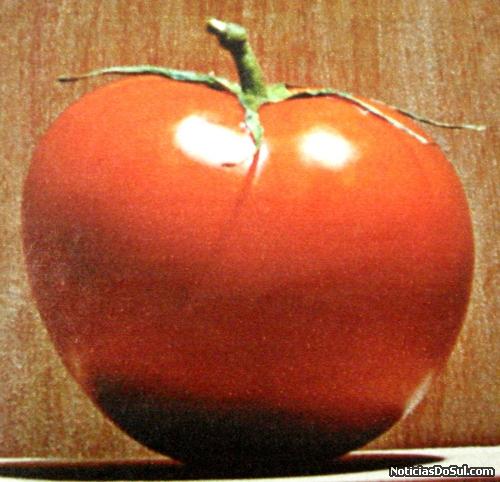 tomate (Foto: arquivos da biblioteca)