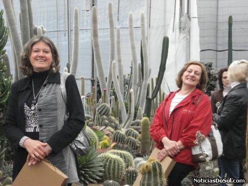 conhecendo um cactário (Foto: educação SP)