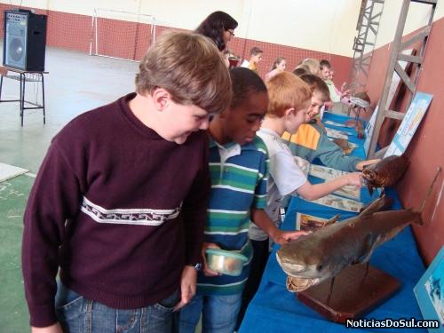A alegria por poder ver de perto animais marinhos, mesmo que empalhados (Foto: divulgação/educação)