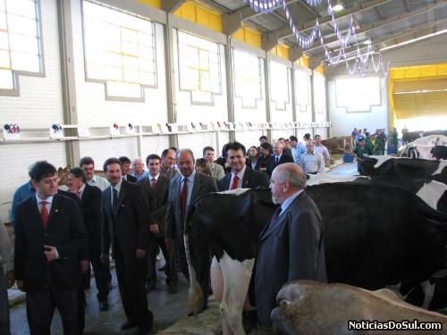 As autoridades visitam a exosição de gado e fazem questão de serem, fotografados vistando e observando o gado exposto (Foto: romildo)