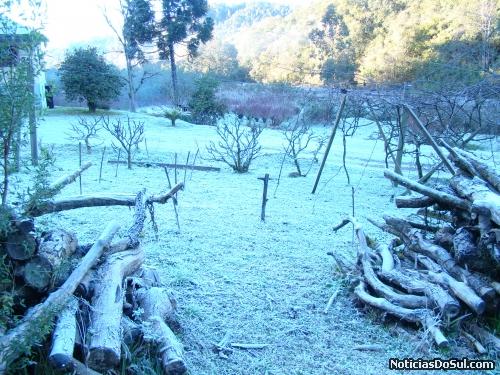 Veja a beleza desta paisagem onde a madeira aparece coberta de branco , parece paisagem européia (Foto: Juares-ba)