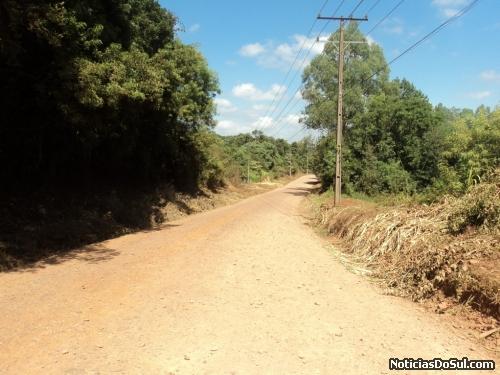 Prefeitura contratou empresa para serviços de roçada (Foto: Cathierine Hoffmann)